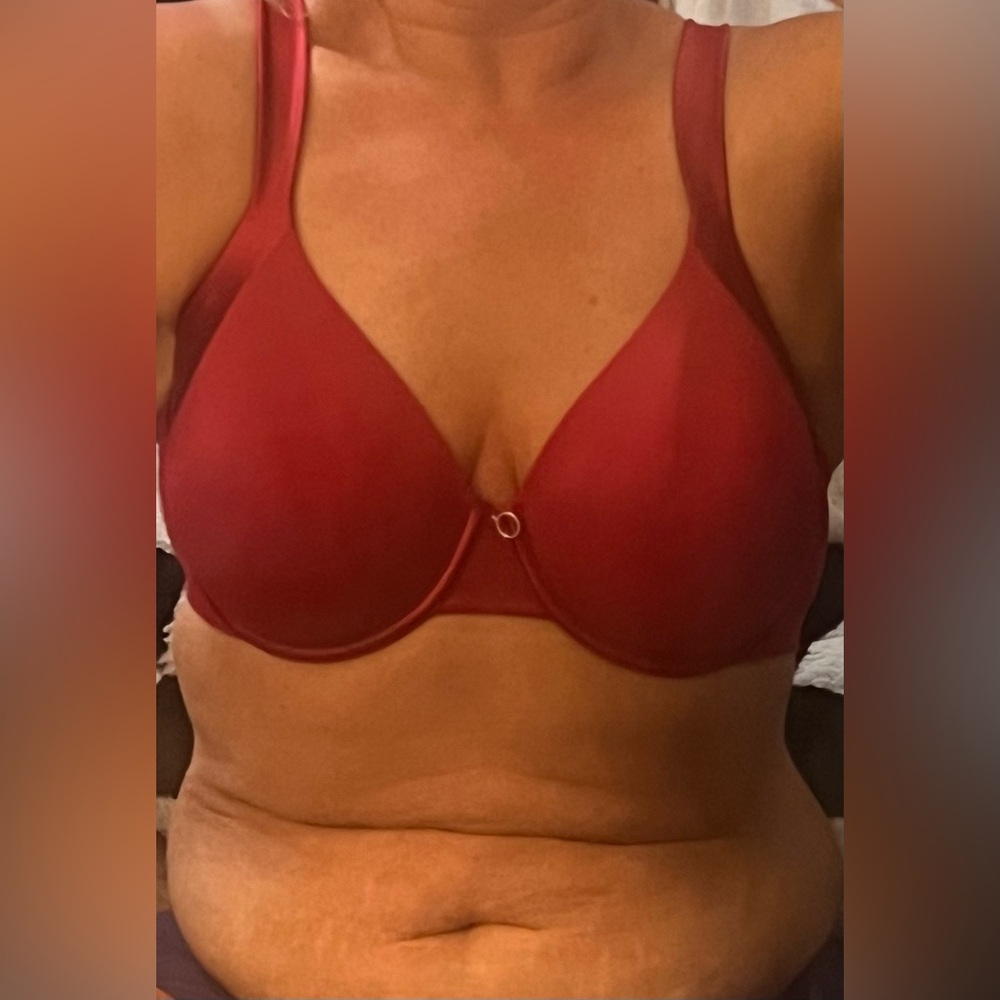 Women's Full Coverage Lilyette Red Bra Size 42 C